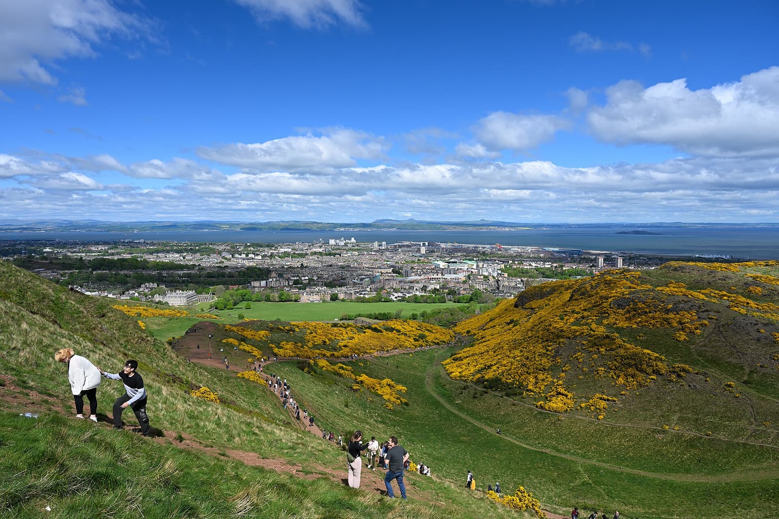 View from Arthur’s Seat over yellow gorse and Holyrood Park to Edinburgh and the Firth of Forth